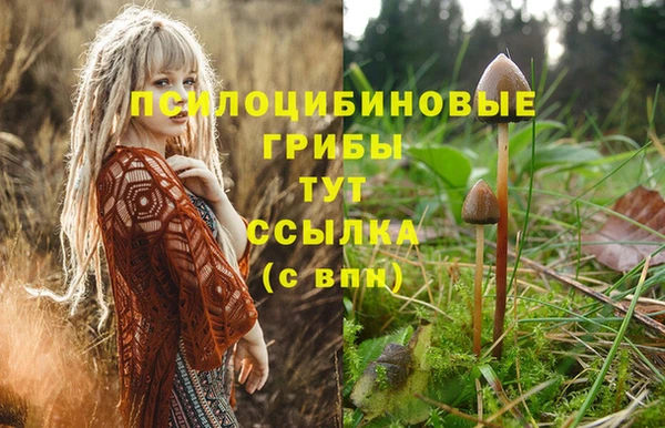 дживик Гусев