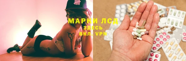 ГАЛЛЮЦИНОГЕННЫЕ ГРИБЫ Ельня