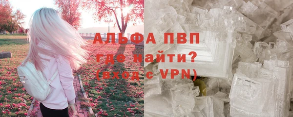 дживик Гусев