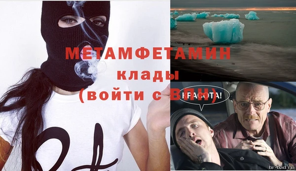 ГАЛЛЮЦИНОГЕННЫЕ ГРИБЫ Ельня