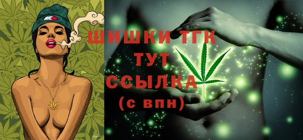молекула духа Дмитриев